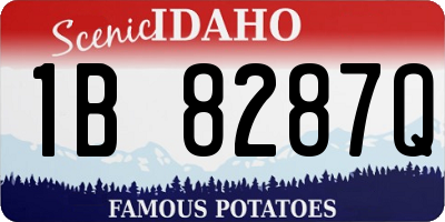 ID license plate 1B8287Q