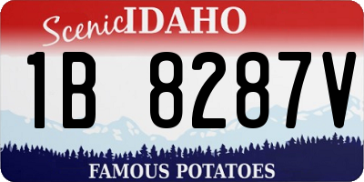 ID license plate 1B8287V