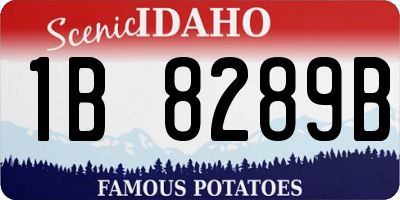 ID license plate 1B8289B