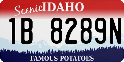 ID license plate 1B8289N