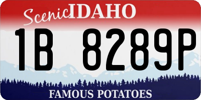 ID license plate 1B8289P