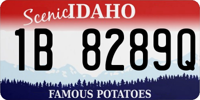 ID license plate 1B8289Q