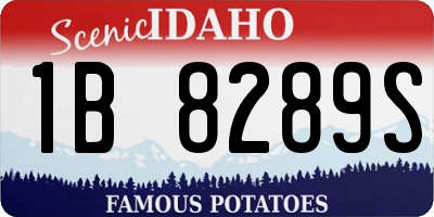 ID license plate 1B8289S