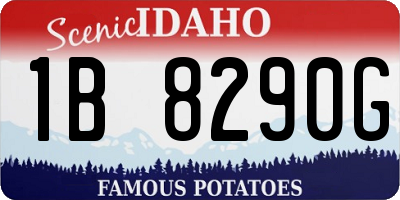 ID license plate 1B8290G