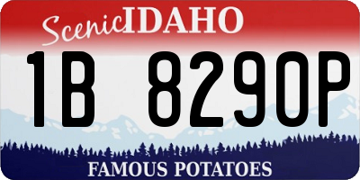ID license plate 1B8290P