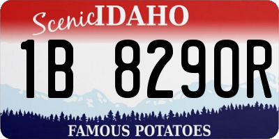 ID license plate 1B8290R