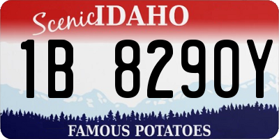 ID license plate 1B8290Y