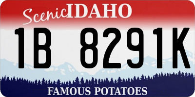 ID license plate 1B8291K