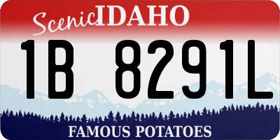 ID license plate 1B8291L