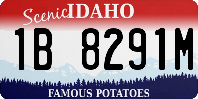 ID license plate 1B8291M