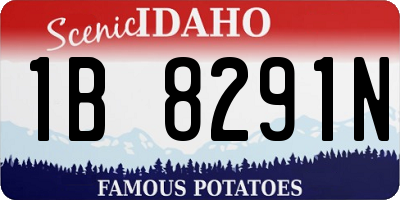 ID license plate 1B8291N