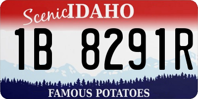 ID license plate 1B8291R