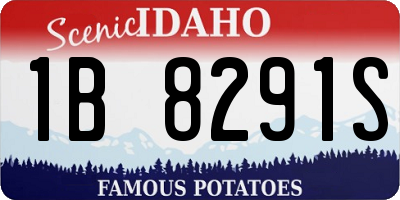 ID license plate 1B8291S