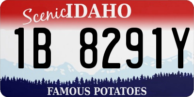 ID license plate 1B8291Y