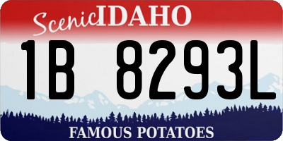 ID license plate 1B8293L