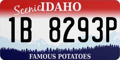 ID license plate 1B8293P