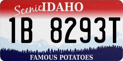 ID license plate 1B8293T