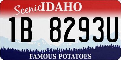 ID license plate 1B8293U