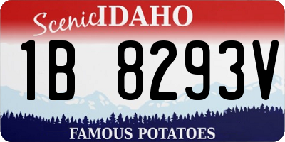 ID license plate 1B8293V