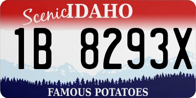 ID license plate 1B8293X