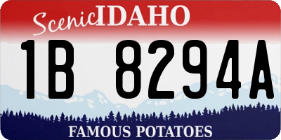 ID license plate 1B8294A