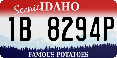 ID license plate 1B8294P