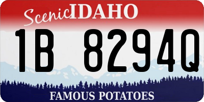 ID license plate 1B8294Q