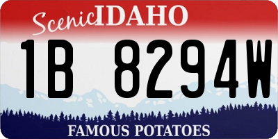 ID license plate 1B8294W