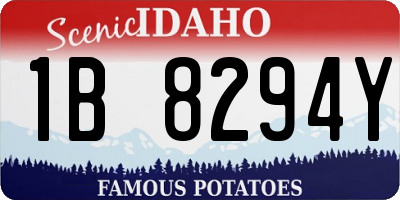 ID license plate 1B8294Y
