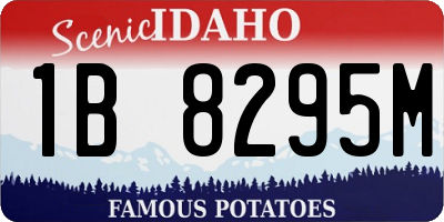 ID license plate 1B8295M