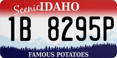 ID license plate 1B8295P