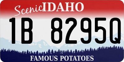 ID license plate 1B8295Q