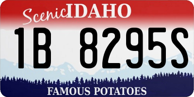 ID license plate 1B8295S