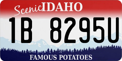 ID license plate 1B8295U
