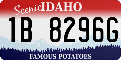ID license plate 1B8296G