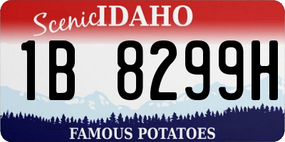 ID license plate 1B8299H