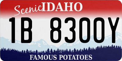 ID license plate 1B8300Y