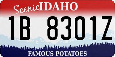 ID license plate 1B8301Z