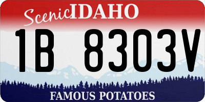 ID license plate 1B8303V