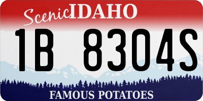 ID license plate 1B8304S