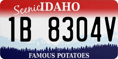 ID license plate 1B8304V