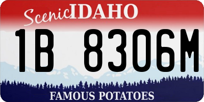 ID license plate 1B8306M