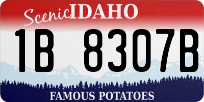 ID license plate 1B8307B