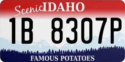 ID license plate 1B8307P