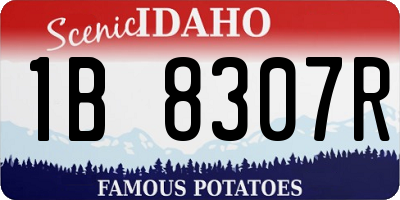 ID license plate 1B8307R