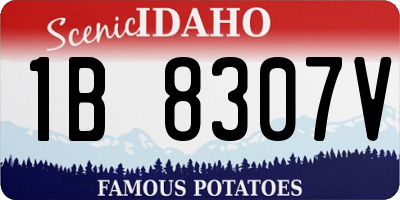 ID license plate 1B8307V