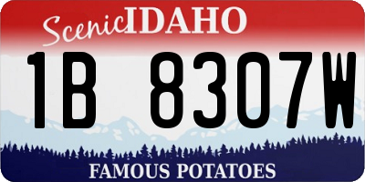 ID license plate 1B8307W