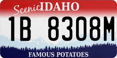 ID license plate 1B8308M