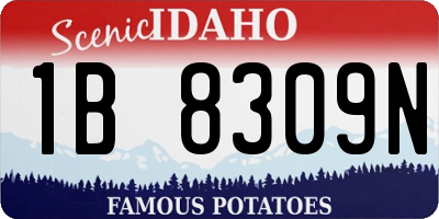 ID license plate 1B8309N