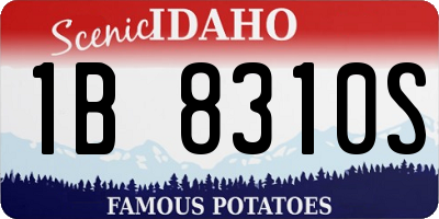 ID license plate 1B8310S